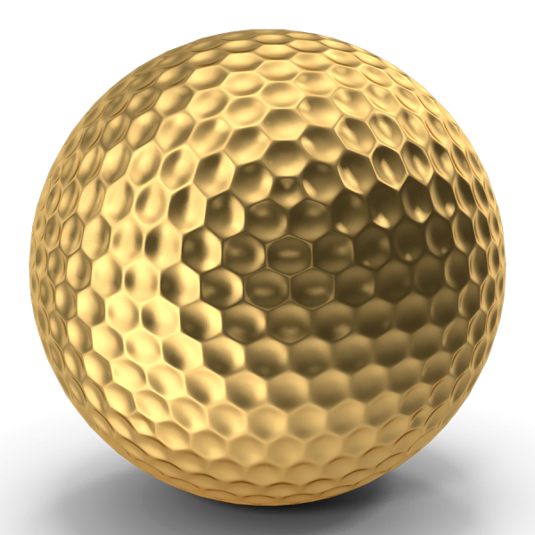Gold Sponsor
